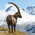 Valle d'Aosta