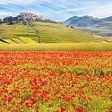 Umbria