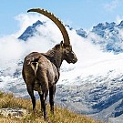 Valle d'Aosta