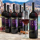 Výhodné balení 6 lahví Primitivo Salento IGT 6x0,75l