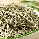 Rozmarýn ze Sicílie