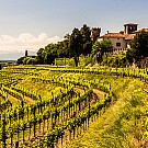 Friuli-Venezia Giulia