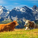 Trentino-Alto Adige